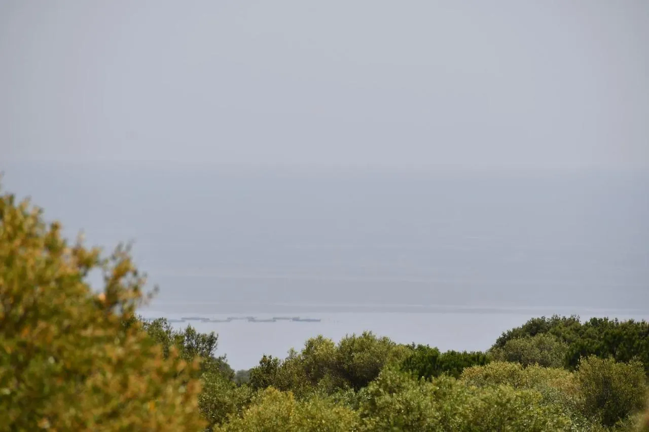Tenute Efis Galtellì 0*,