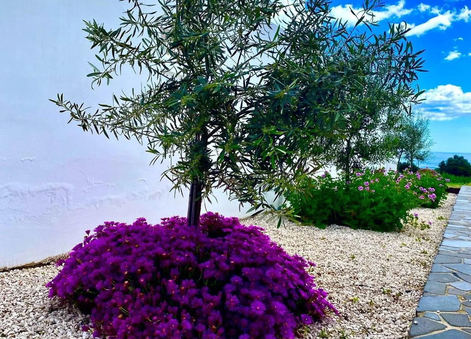 Bed & Breakfast Tenute Efis Galtelli Italy